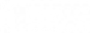 OWG logo light